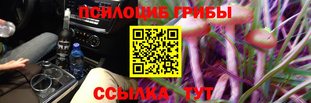 Галлюциногенные грибы Magic Shrooms  Вход с VPN  Псилоцибиновые грибы Psilocybine cubensis  Советский 